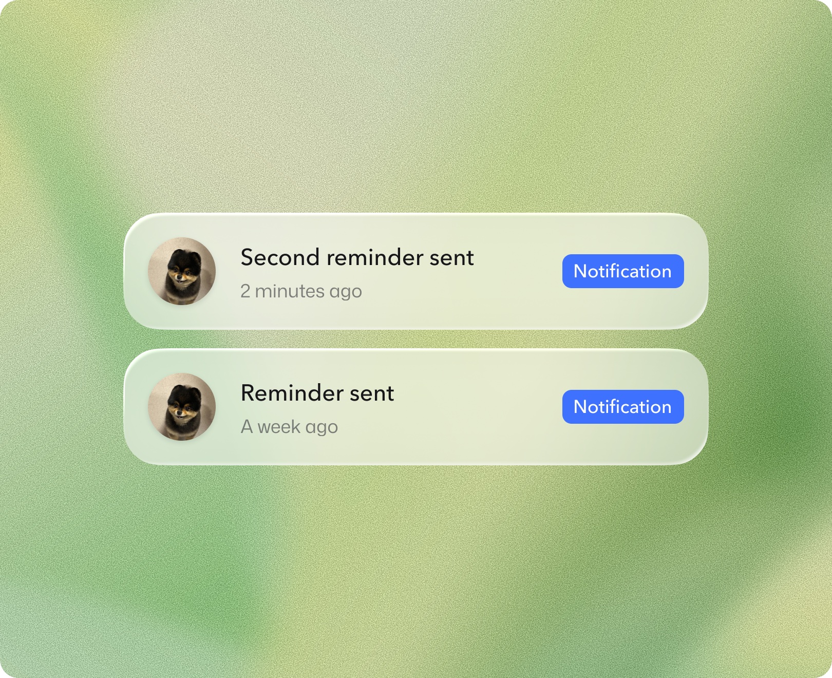 Popow product mockup