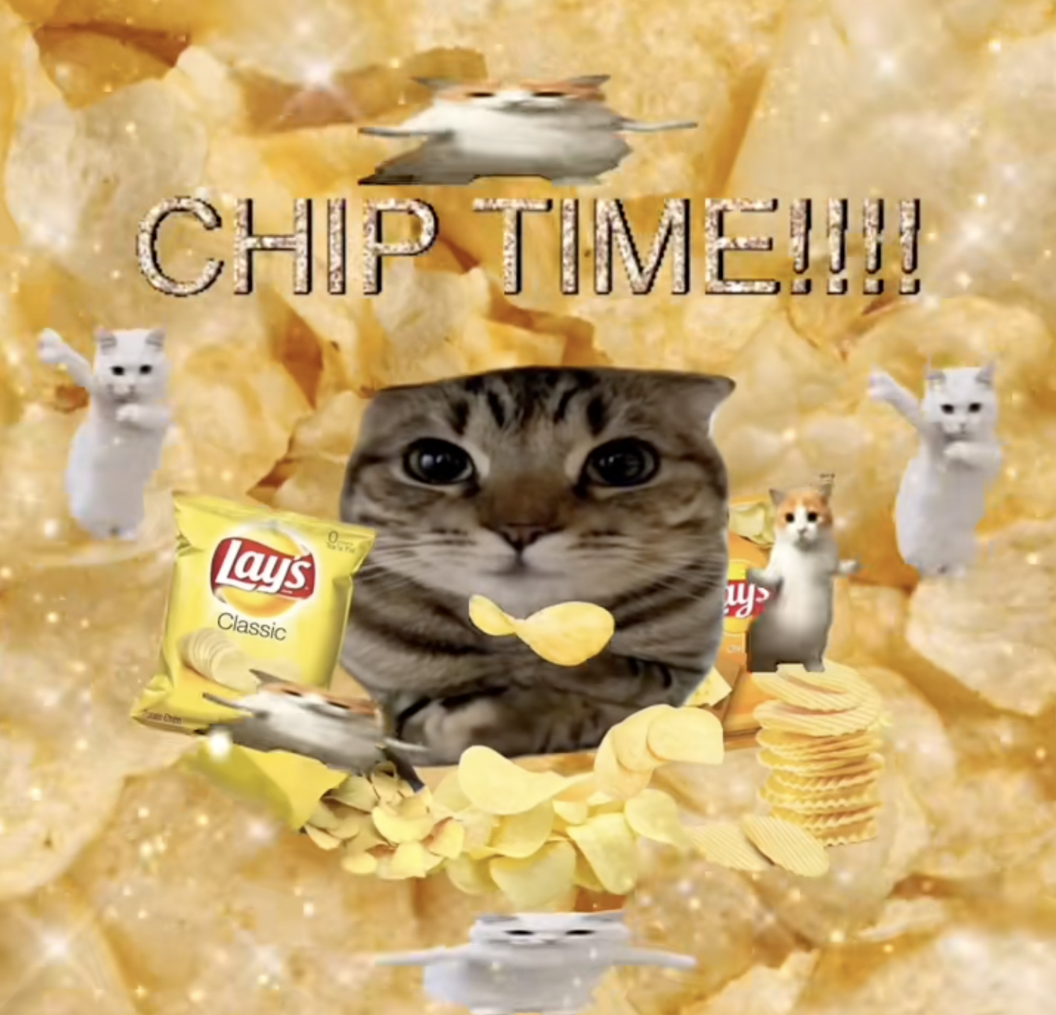 TikTok thumbnail of Popow creator sillycatslovers1 with 2.8M views