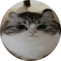 Popow creator sillycat profile picture